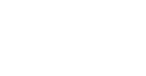 Seyer Industries